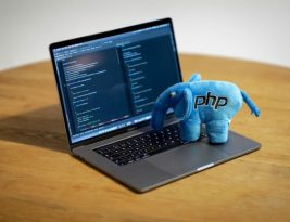 How Can Developers Best Utilize PHP?